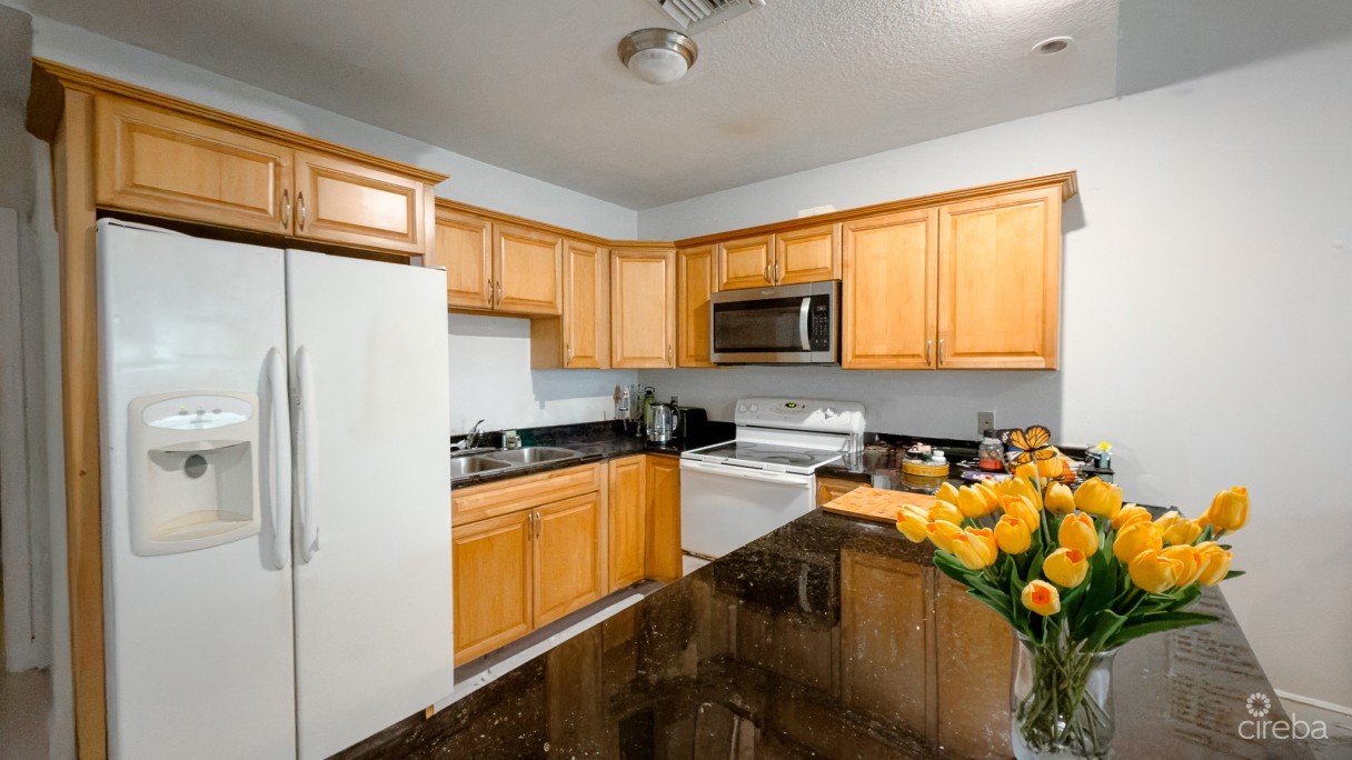 Alhambra Villas 1 Bed Condo - Image 3