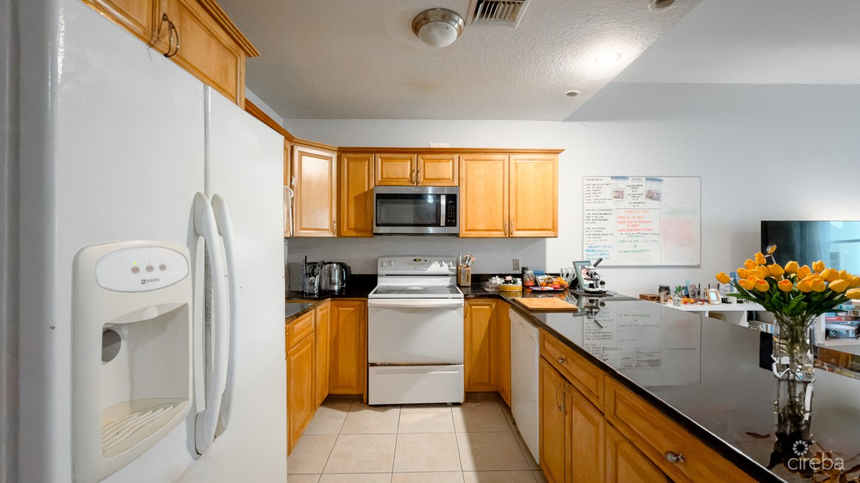 Alhambra Villas 1 Bed Condo - Image 4