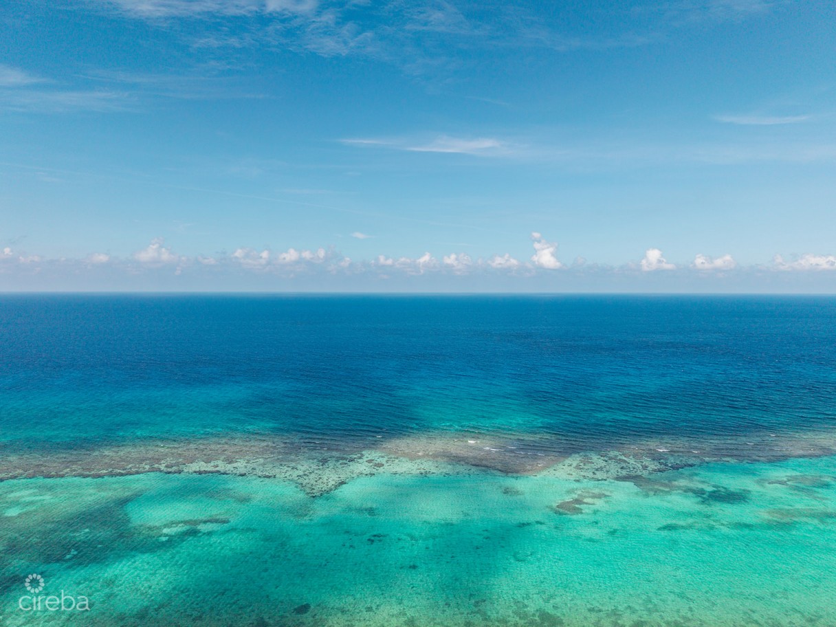 7 Acres Little Cayman Development Land - Image 2