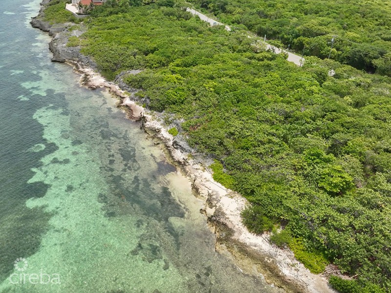 North East Coast Ocean Front Land - Image 7