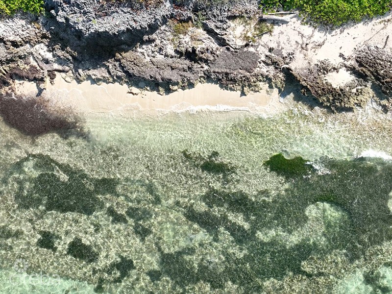 North East Coast Ocean Front Land - Image 11