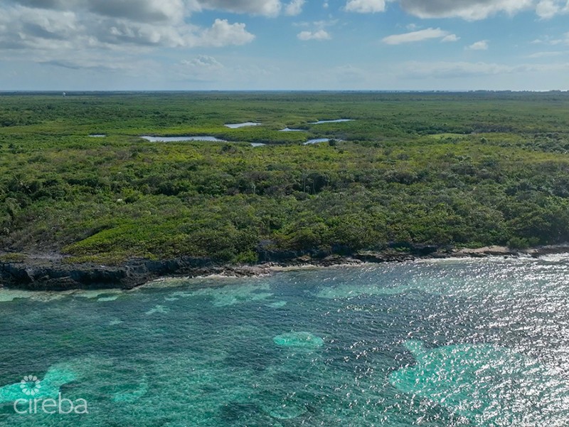 North East Coast Ocean Front Land - Image 10