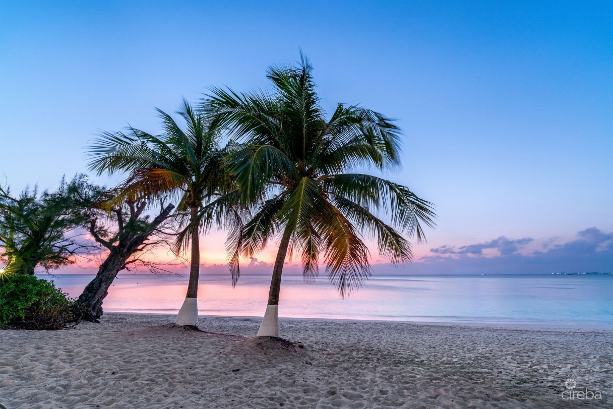Beachfront Bliss At Cayman Club | Seven Mile Beach - Image 20