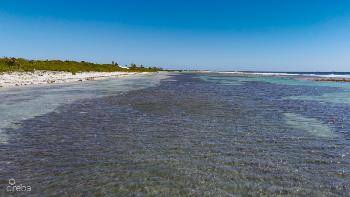 Beachfront Land Little Cayman - Image 10