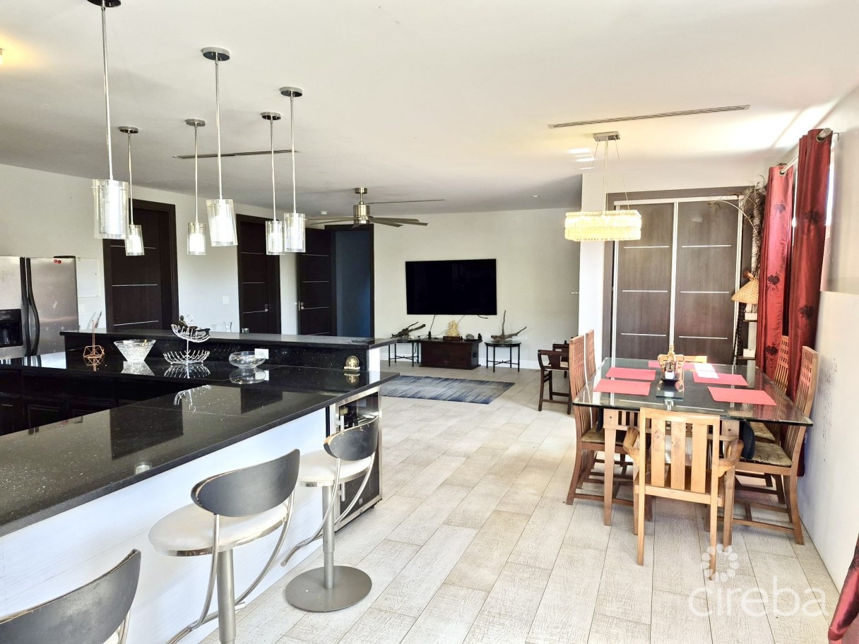 Pedro Castle Road #245 - Image 1