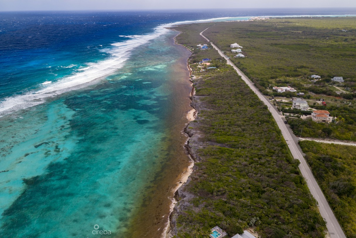 Oceans 8 Lot 4 - Image 5