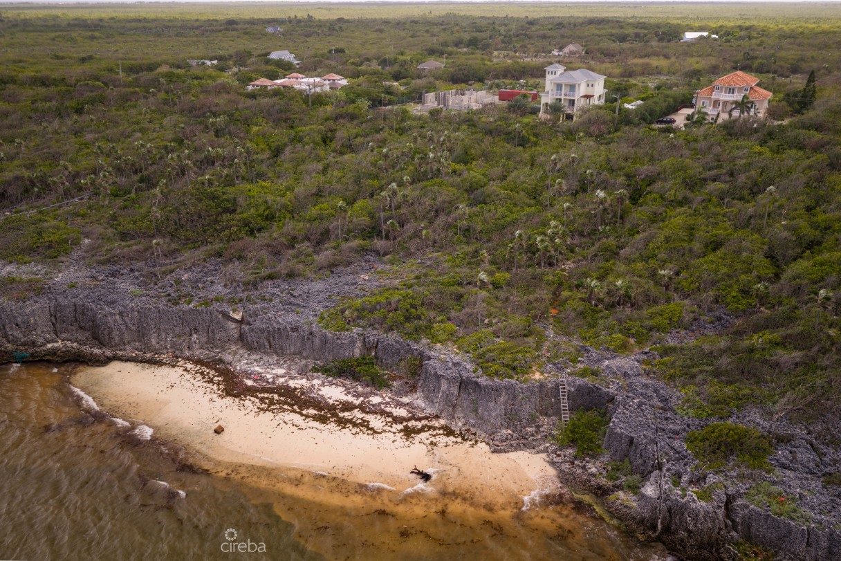 Oceans 8 Lot 4 - Image 6