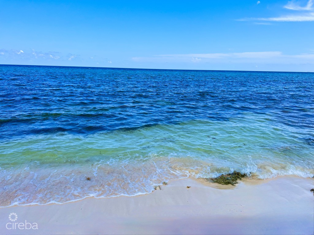 Rum Point Beachfront Lot With Coral Reef - Image 4