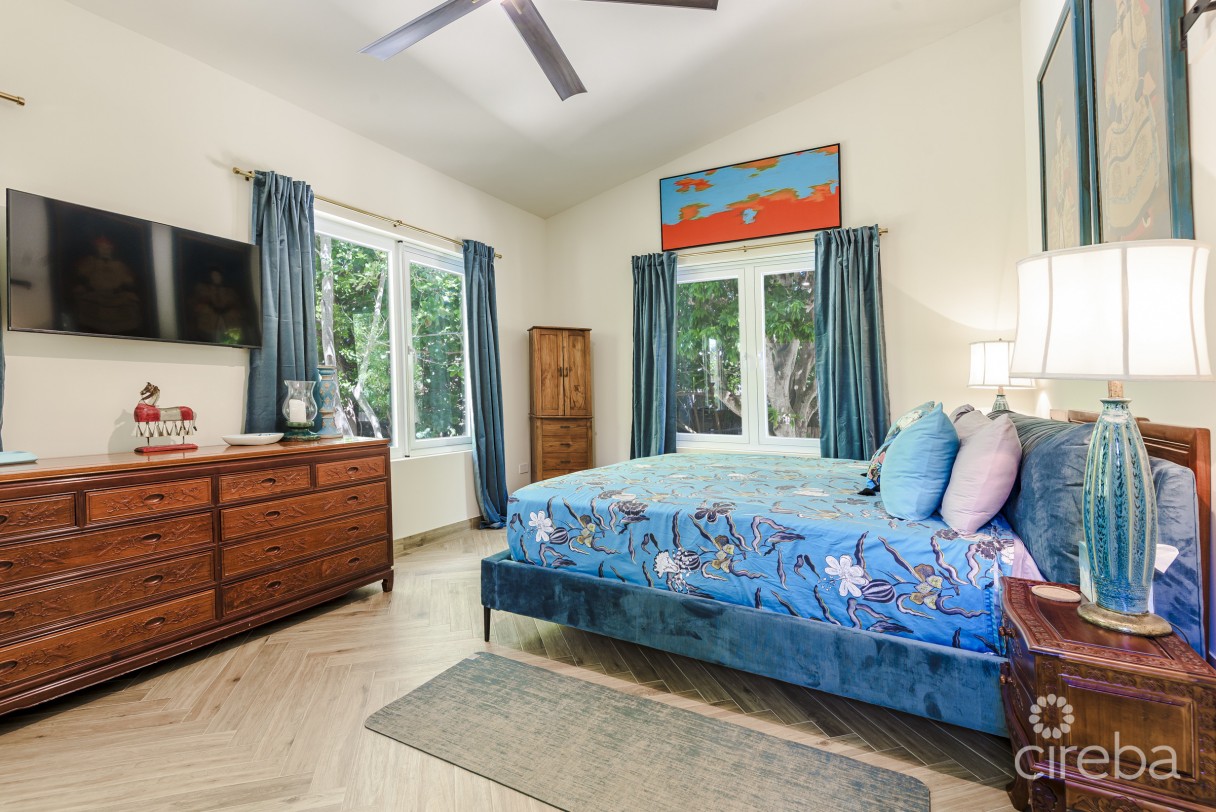 Remastered Mid-century Modern Home - Image 22