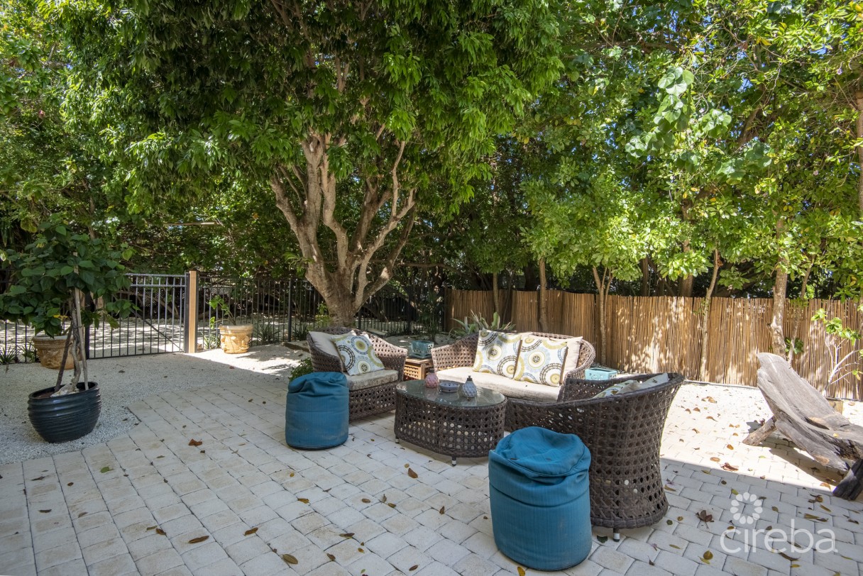 Remastered Mid-century Modern Home - Image 14