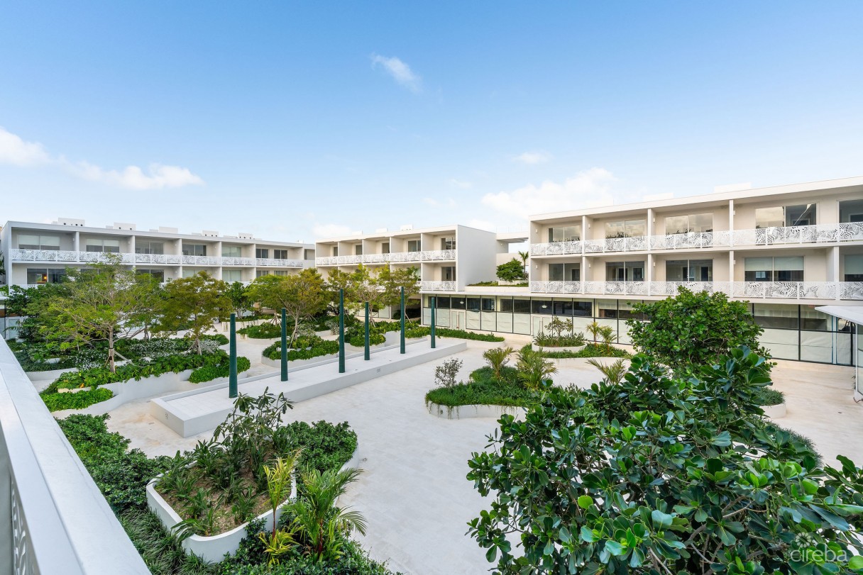 Solace At The Grove Too | Seven Mile Corridor - Image 10