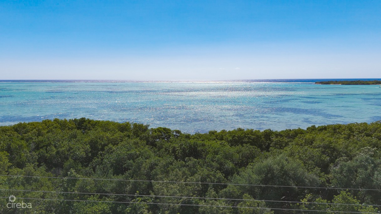 Oceanfront Land Little Cayman 0.43 Acres - Image 1