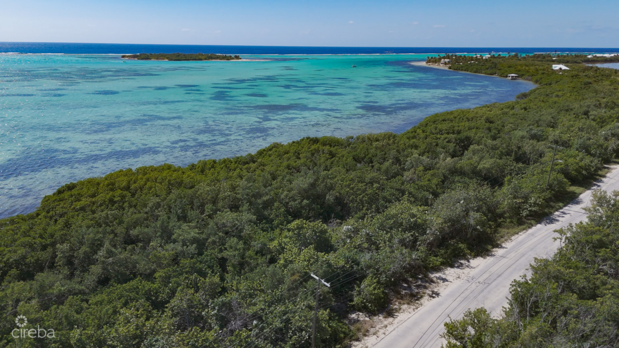Oceanfront Land Little Cayman 0.43 Acres - Image 5