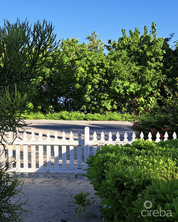 Conch Club Cottage-little Cayman - Image 12