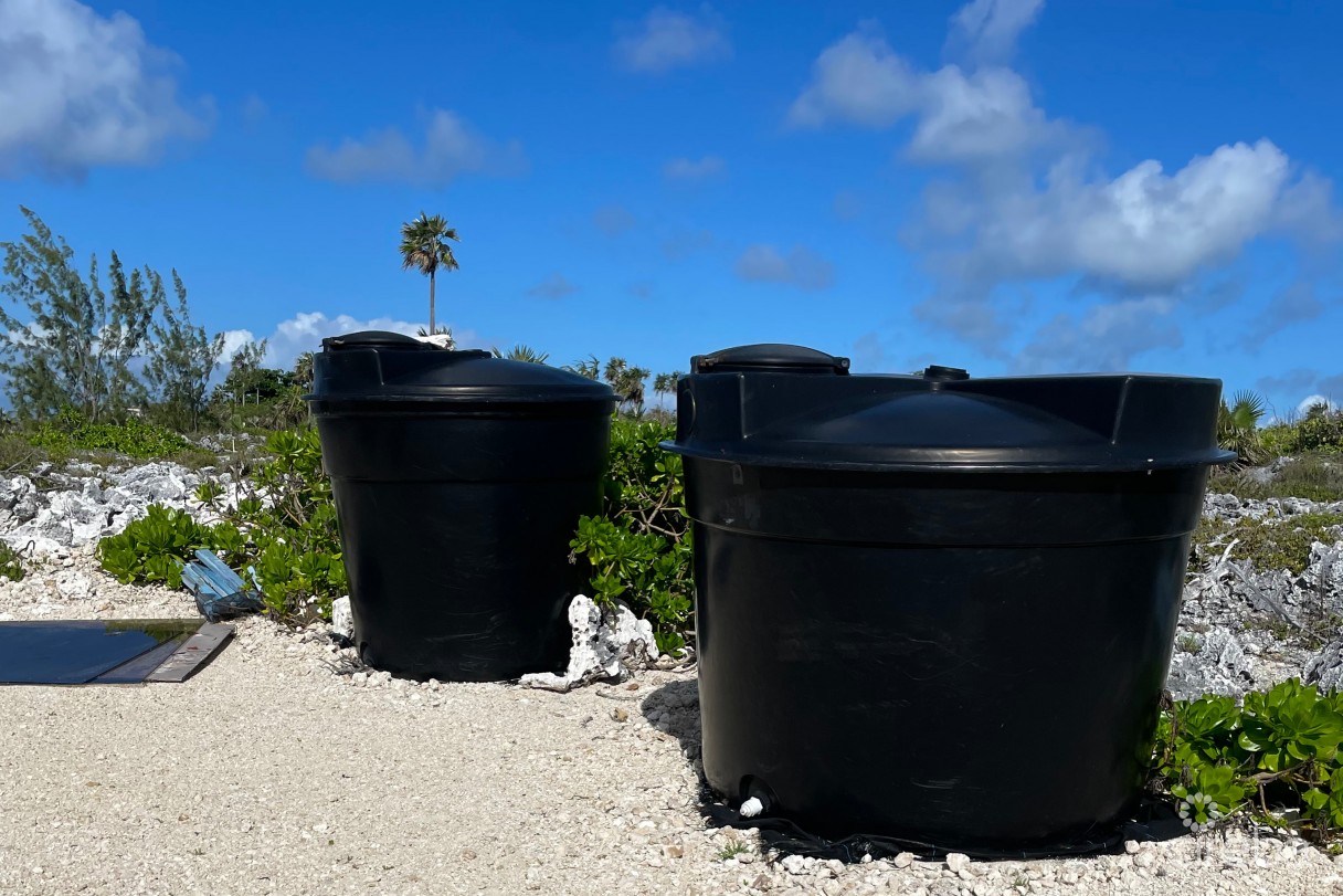 Cayman Sea Salt & Cayman Cookie Company (business) - Image 3
