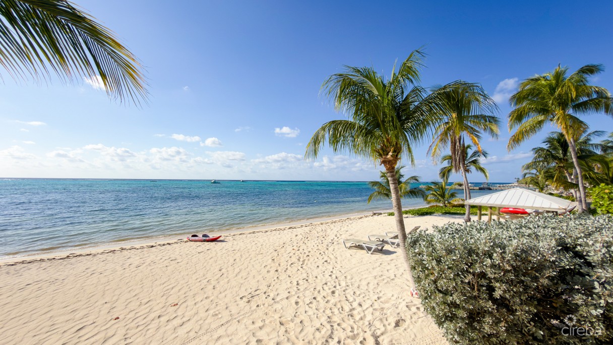 Beachfront Condo The Club Little Cayman - Image 17