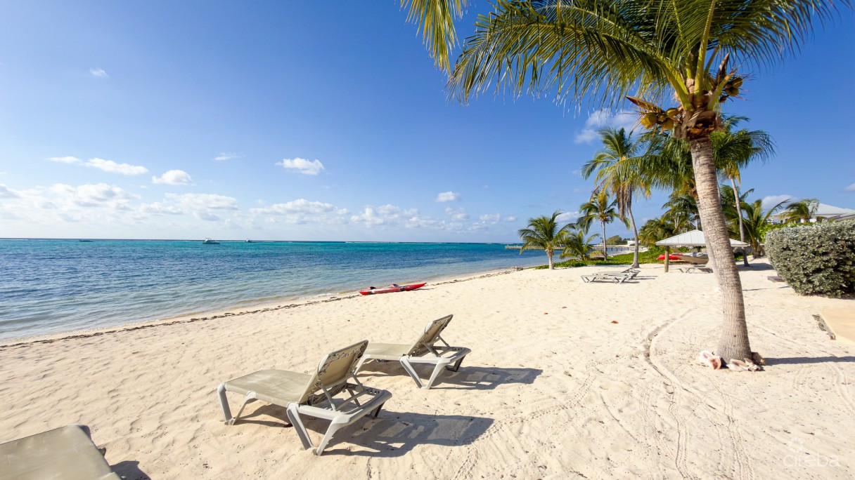 Beachfront Condo The Club Little Cayman - Image 2