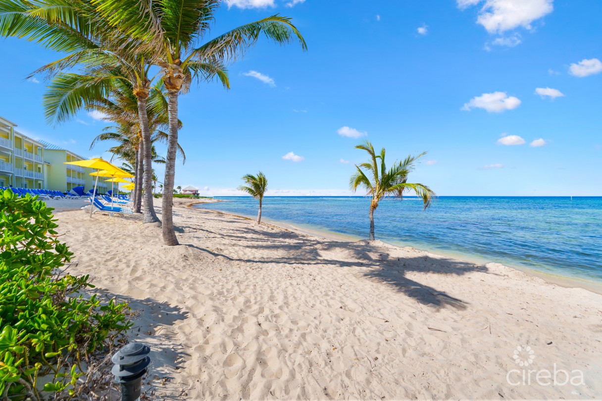 Castaway Cove Beachfront - 2 Bed, 2 Bath, A And B Lock Off Unit - Image 15