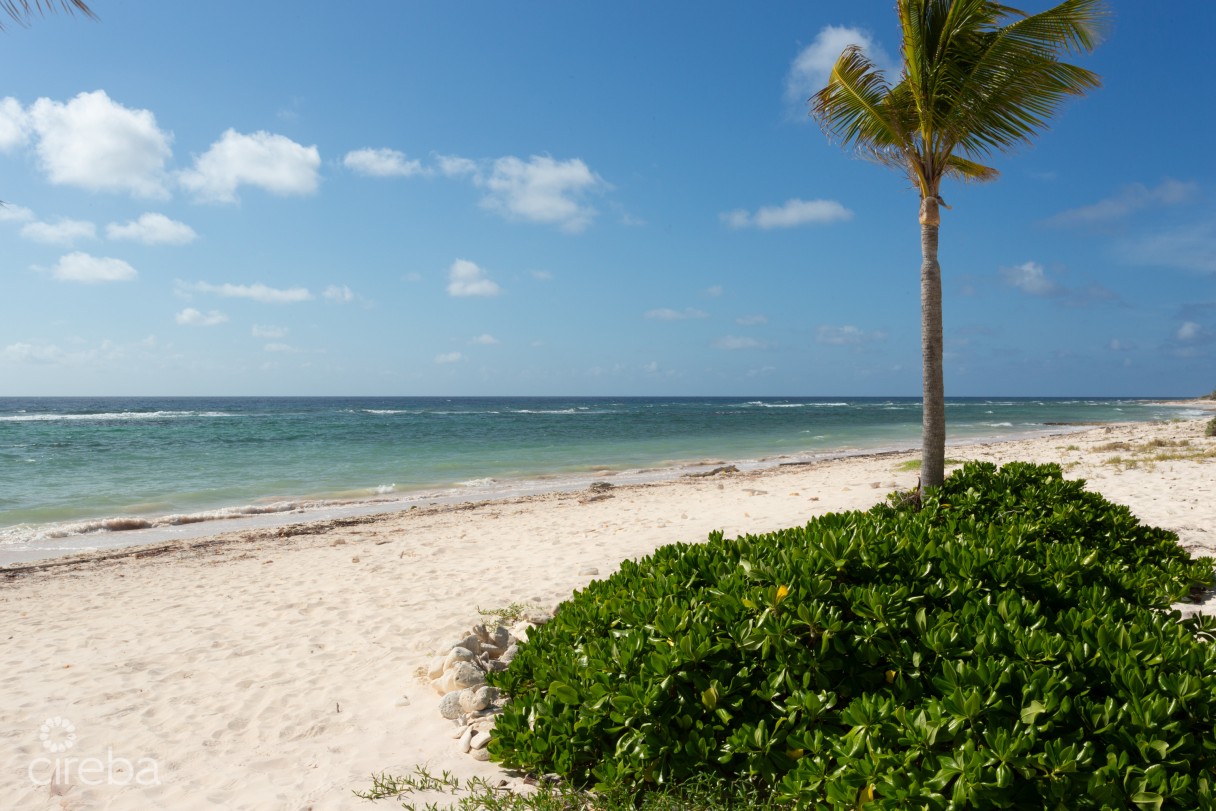 Bluff Edge Development Site | Cayman Brac - Image 12
