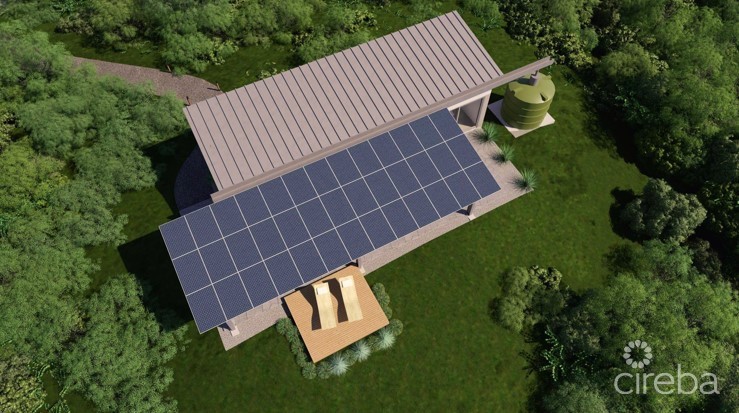 Little Breeze - Image 6