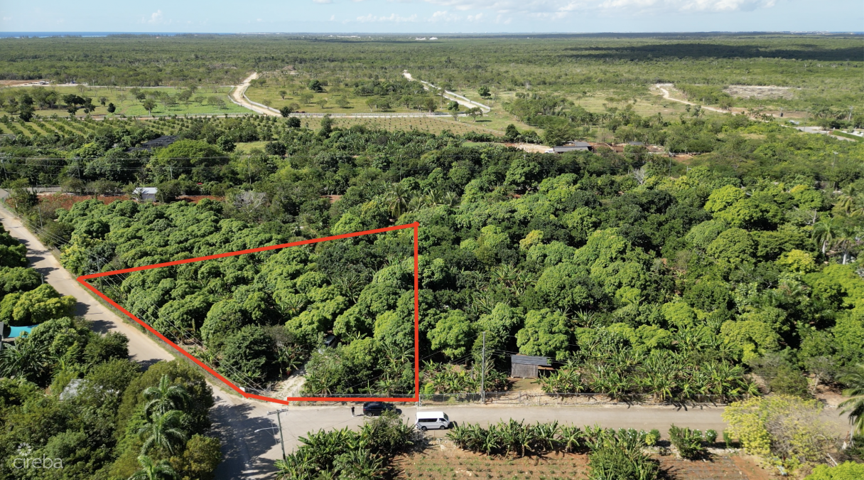 Rare 1-acre Farm Paradise In Up-and-coming High Rock - East End's Hottest Farming Location - Image 2
