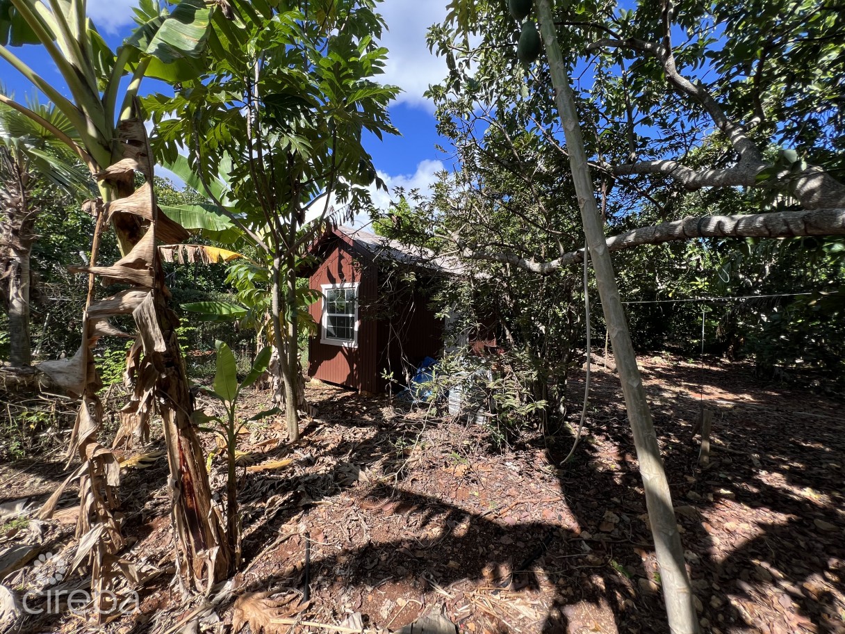 Rare 1-acre Farm Paradise In Up-and-coming High Rock - East End's Hottest Farming Location - Image 6