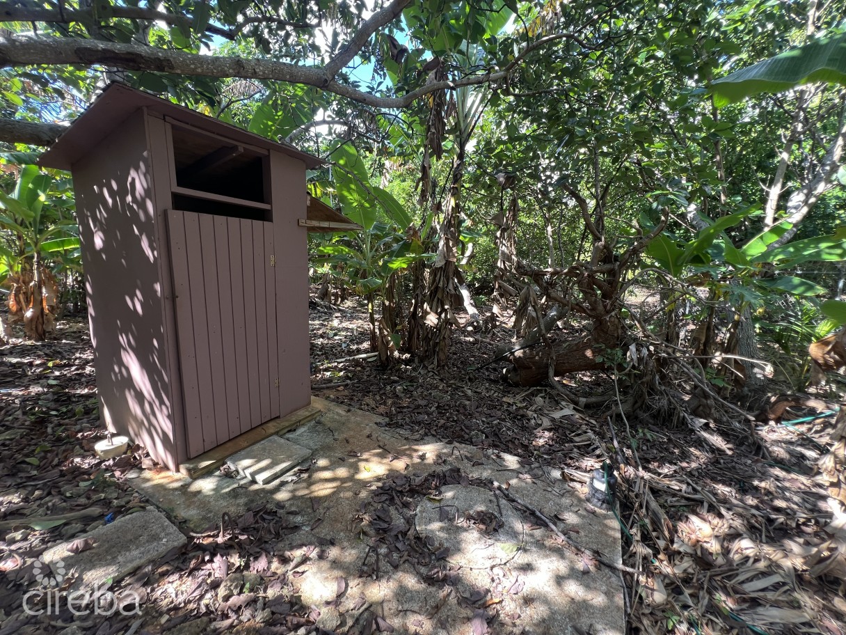 Rare 1-acre Farm Paradise In Up-and-coming High Rock - East End's Hottest Farming Location - Image 8