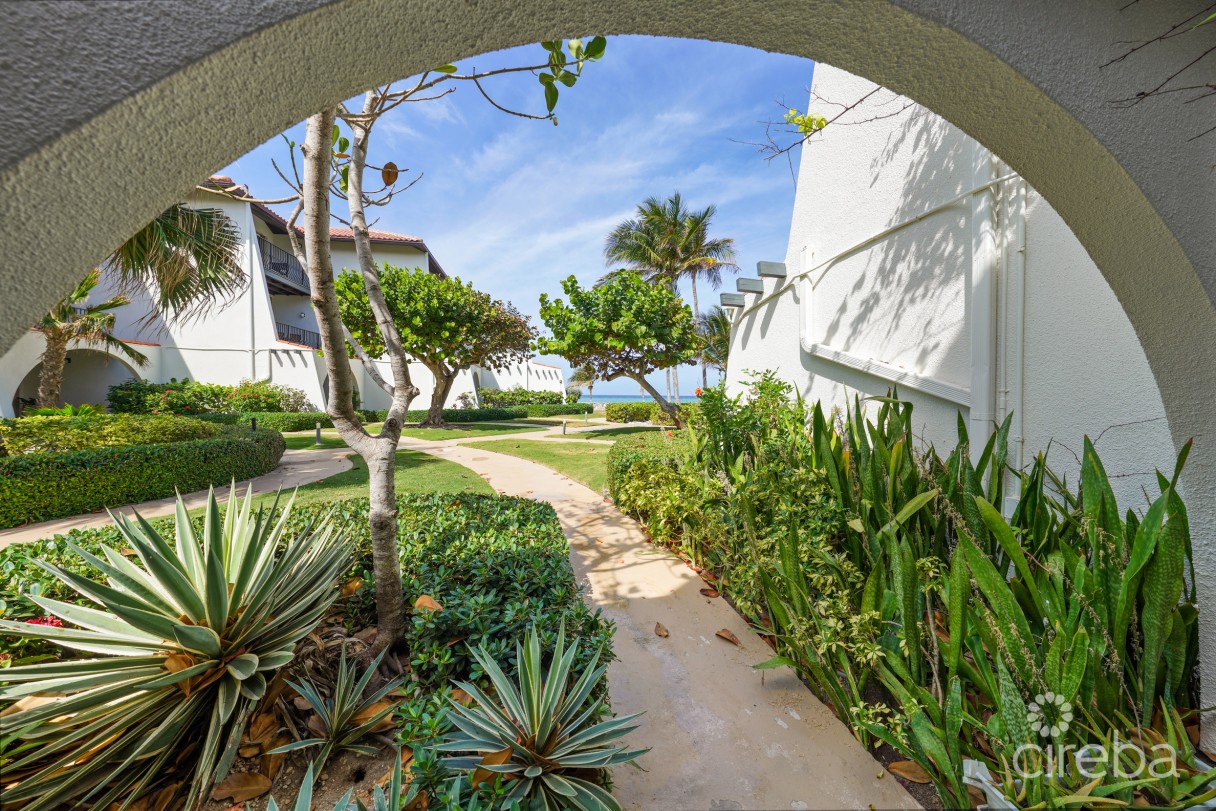 Villas Pappagallos Oceanview! - Image 3