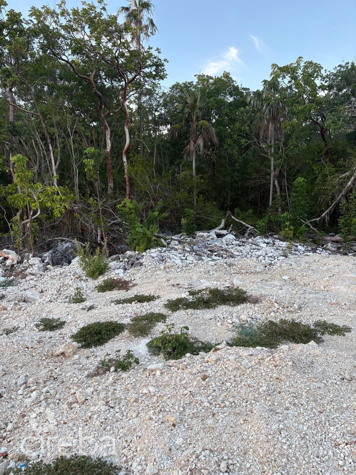 East End Parcel - Image 1