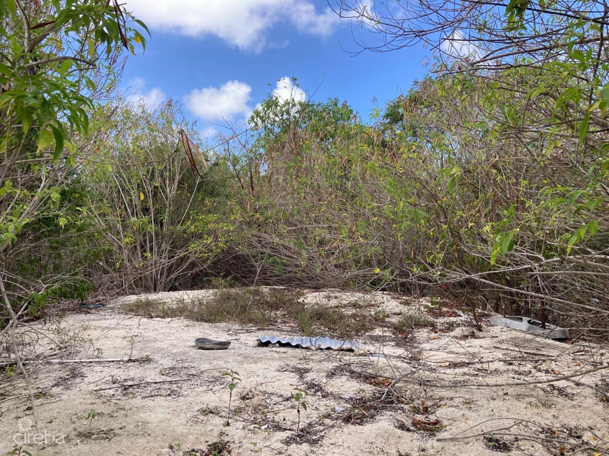 East End Land 0.45 Acres In John Mclean Drive - Image 3