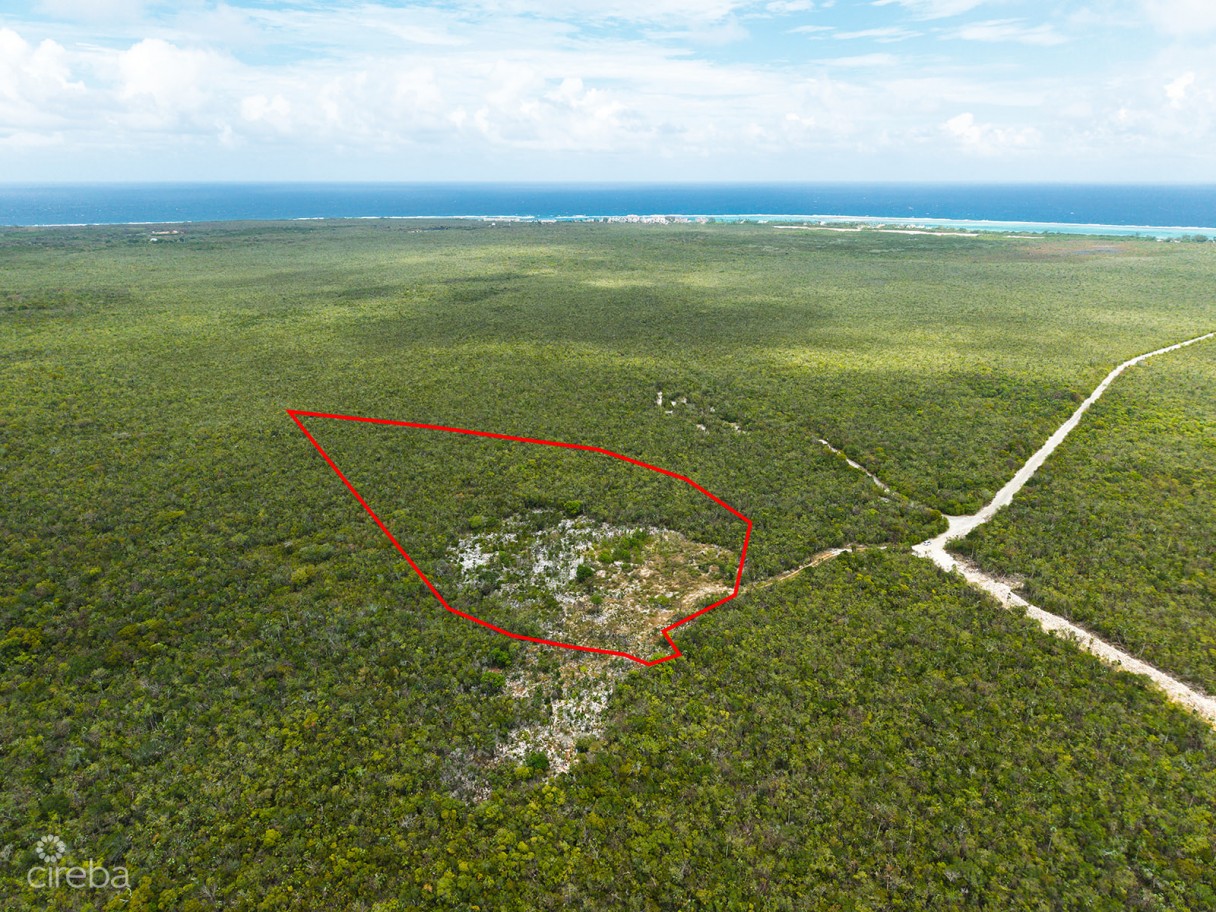 8.5 Acres Of East End Agricultural / Farm Land - Image 2