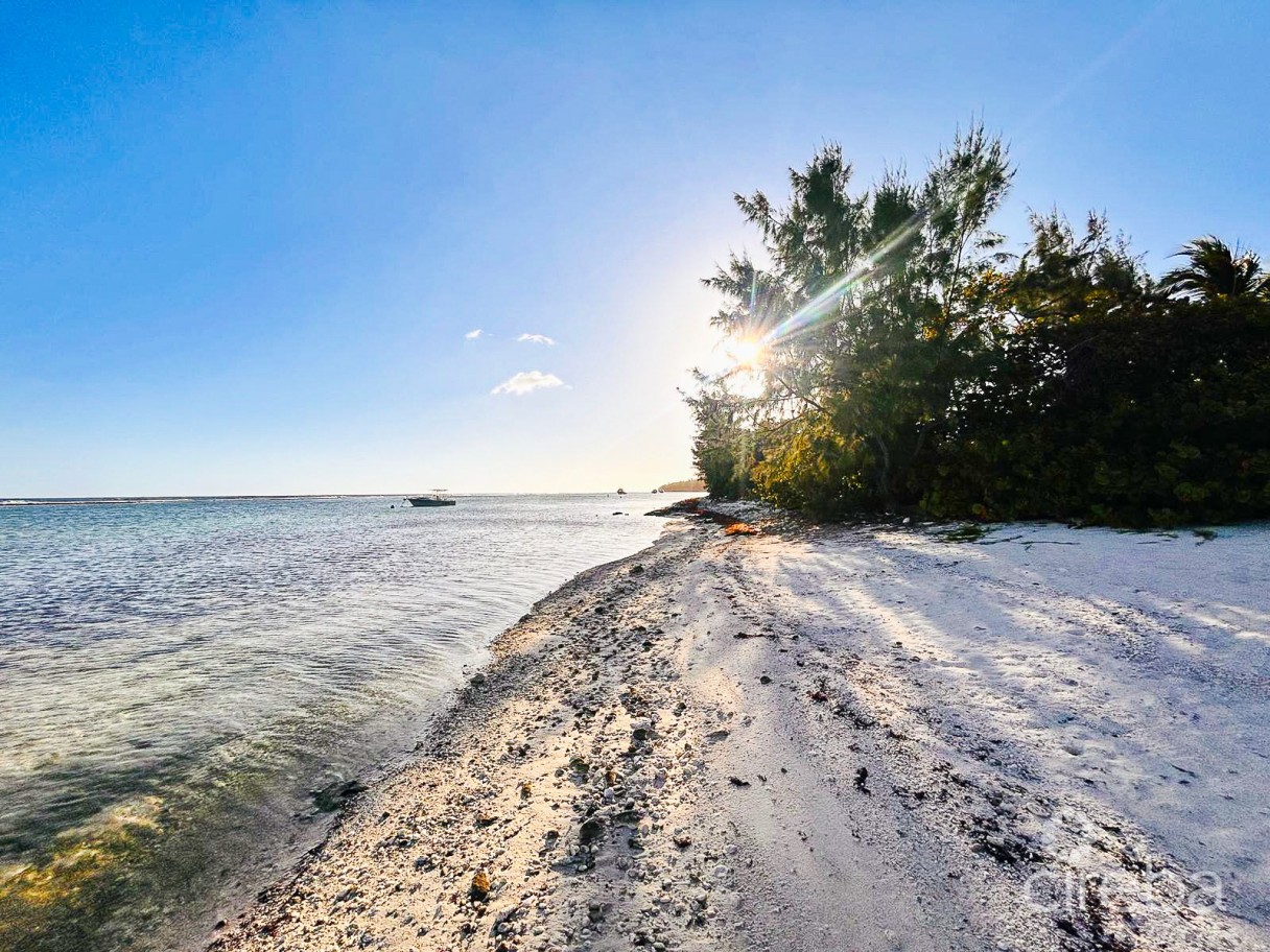 Carib Sands Oceanfront Condo - Image 4