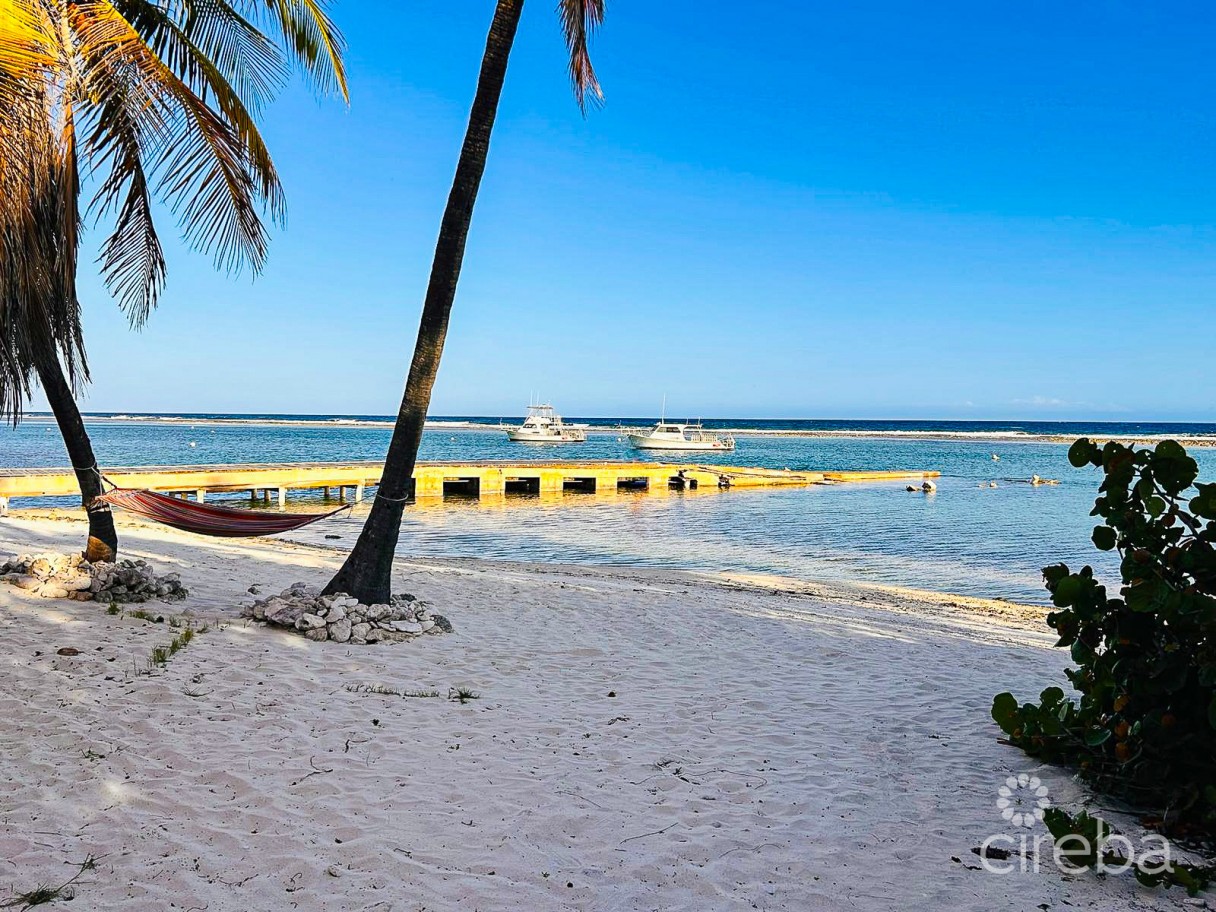 Carib Sands Oceanfront Condo - Image 6