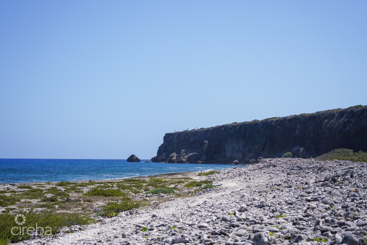Oceanfront Large Land Parcel - Image 9