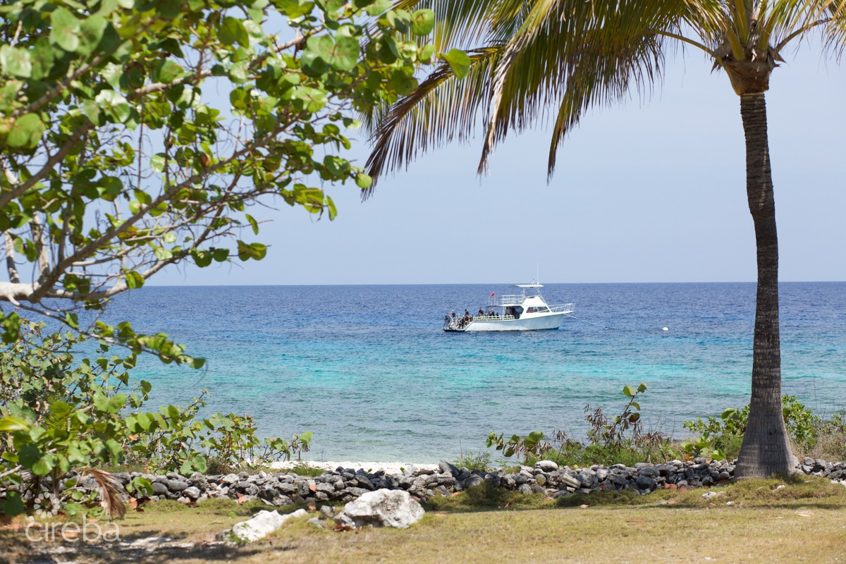 Oceanfront Large Land Parcel - Image 10