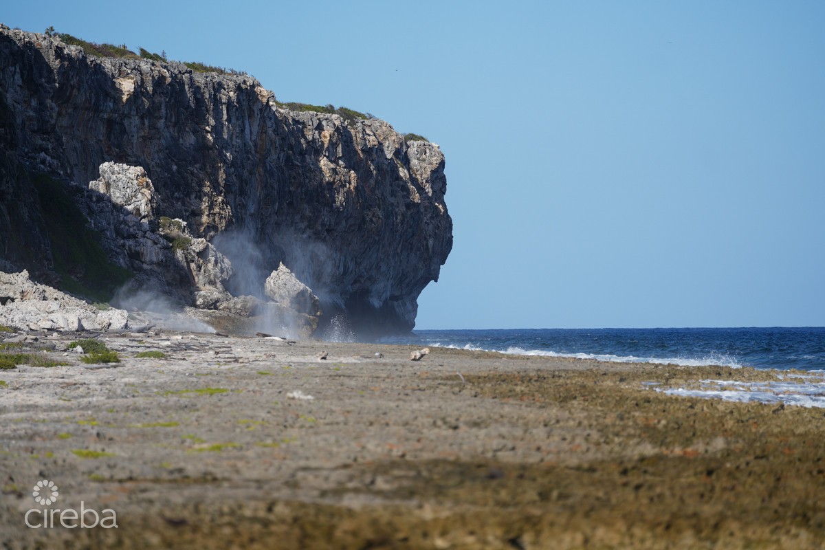 Oceanfront Large Land Parcel - Image 13