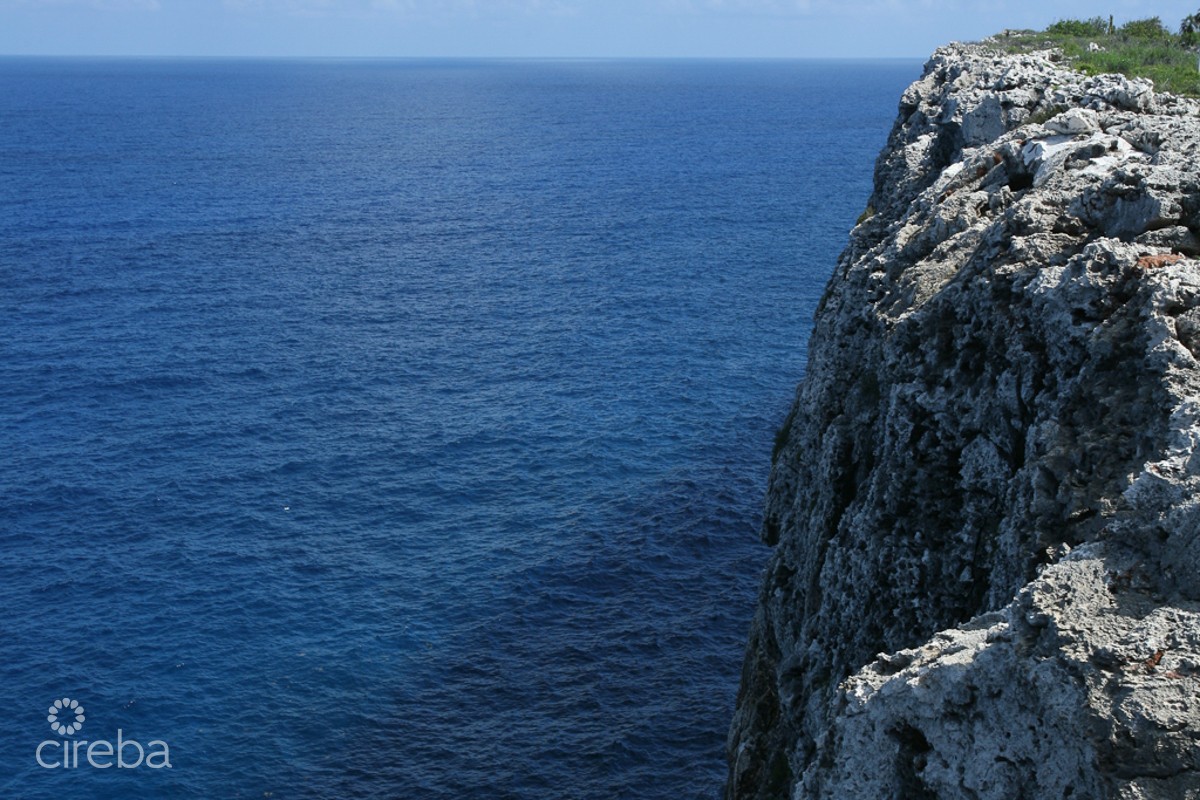 Oceanfront Large Land Parcel - Image 19