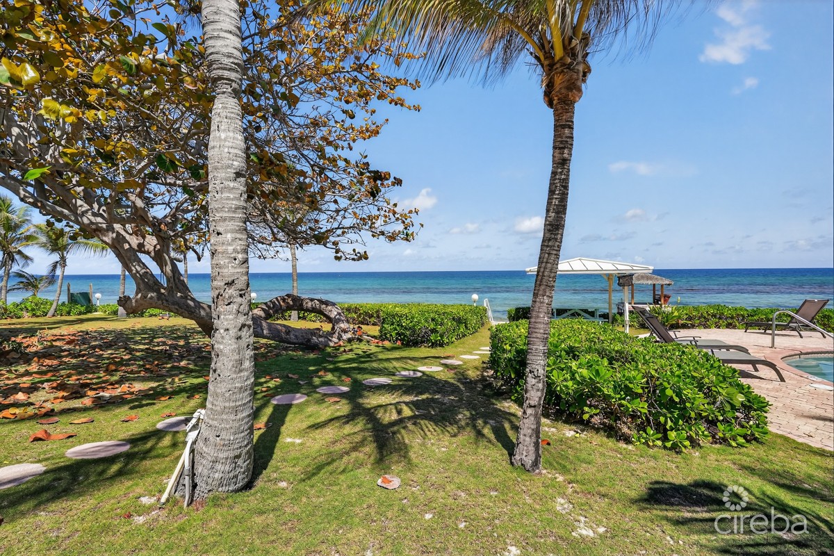 Northern Lights Beachfront - Image 12