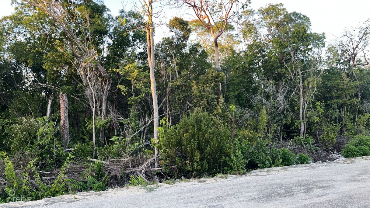 Cayman Brac Central Land - Image 1