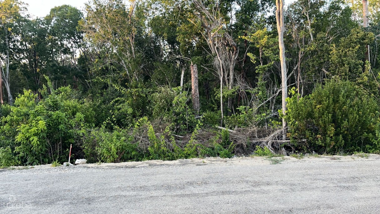 Cayman Brac Central Land - Image 2