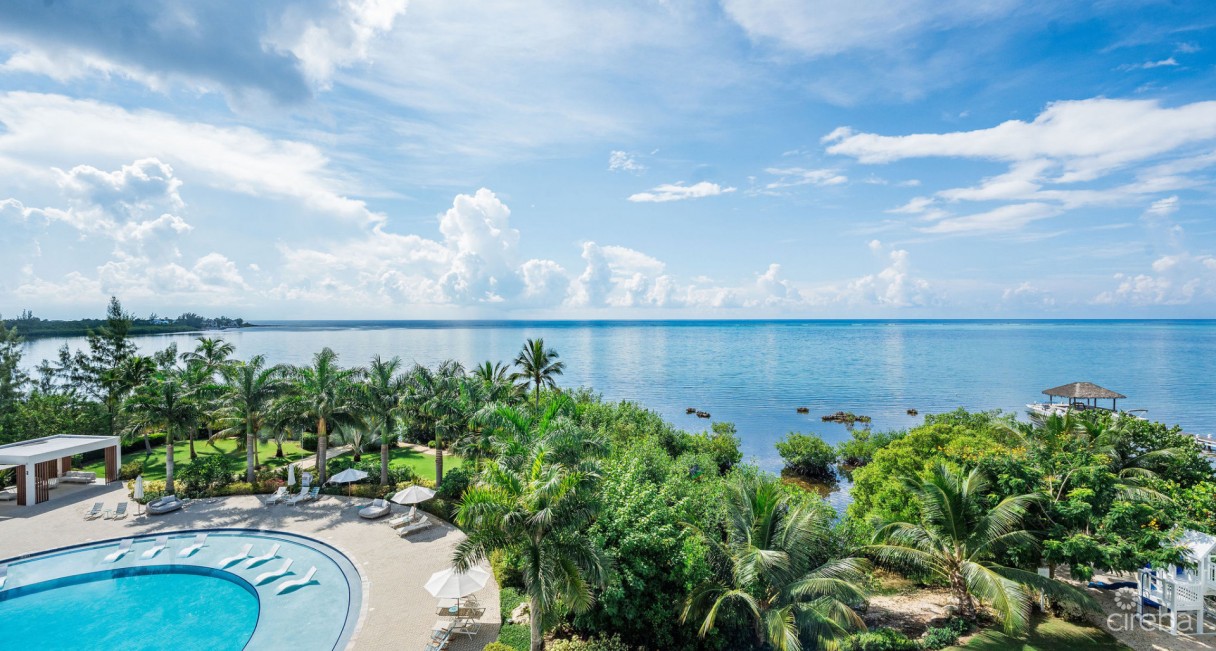 Aura #408 - Image 19