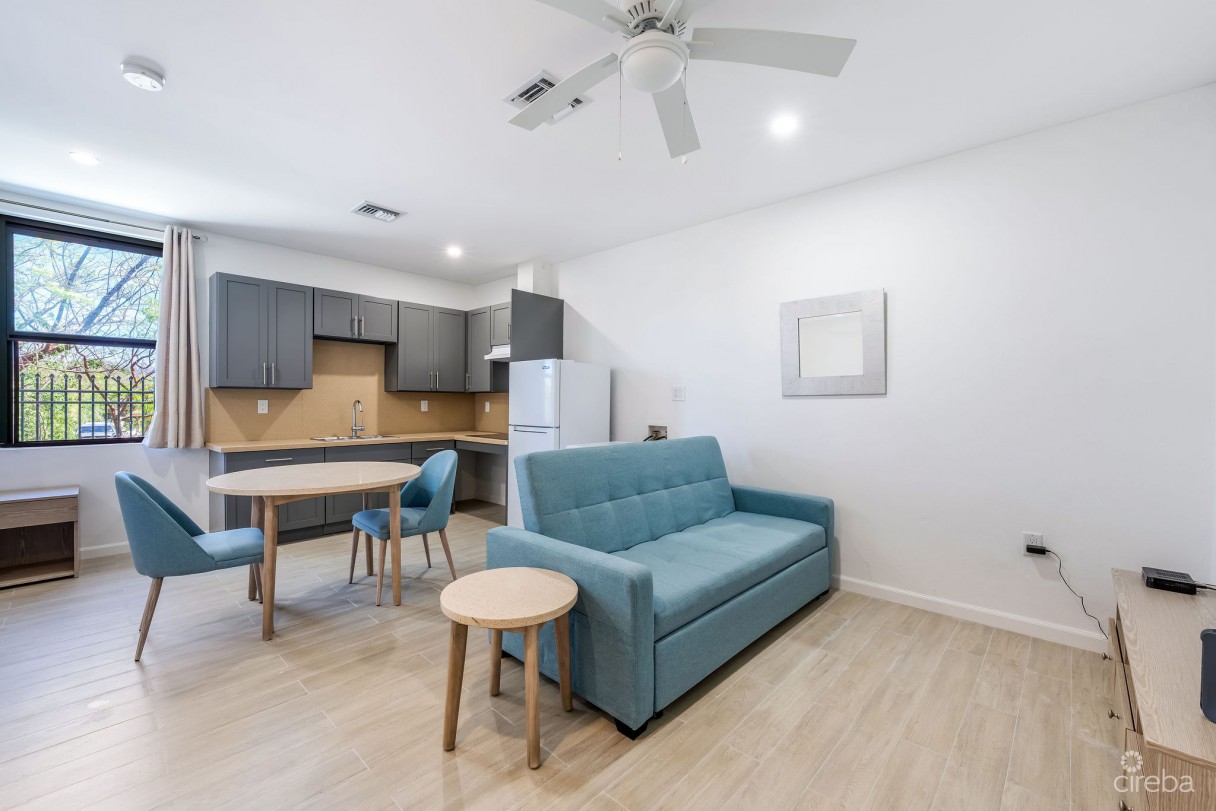 Income-producing Residential Portfolio --4 Studios In West Bay - Image 8