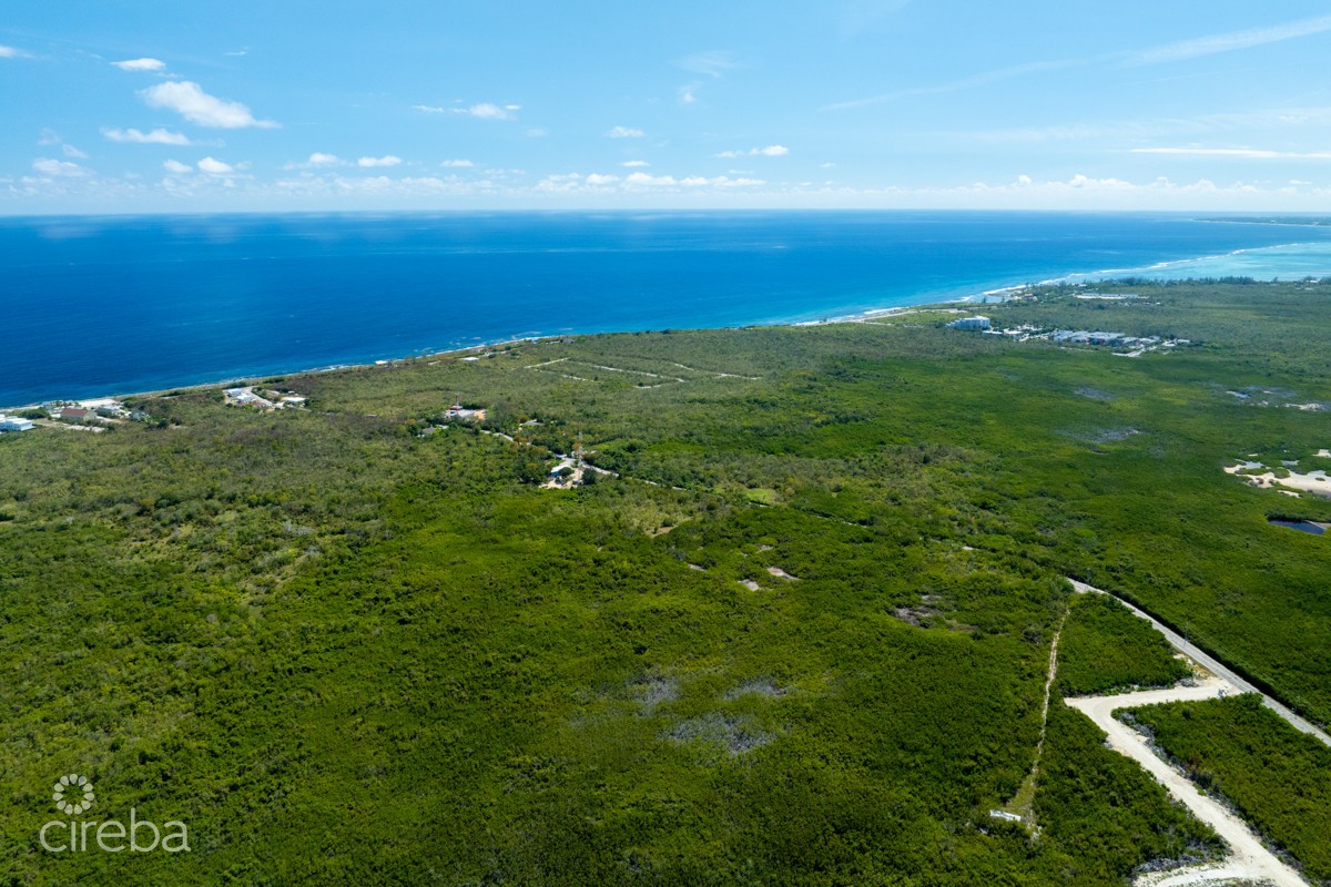 100 Acres High Rock Land - Image 5