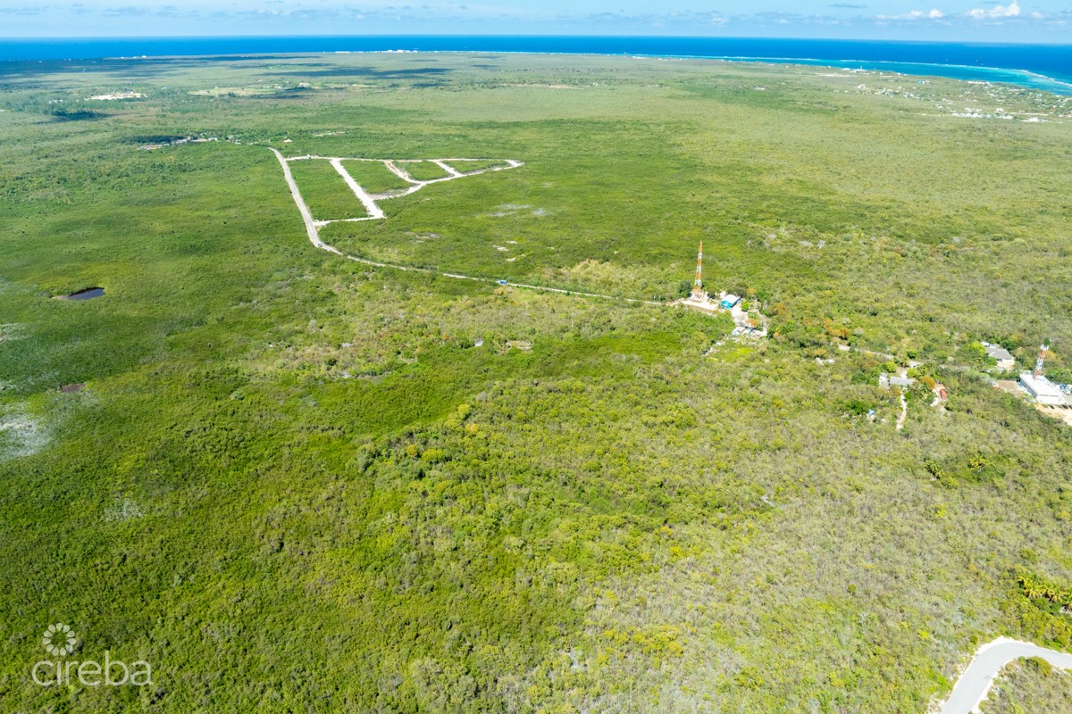 100 Acres High Rock Land - Image 7