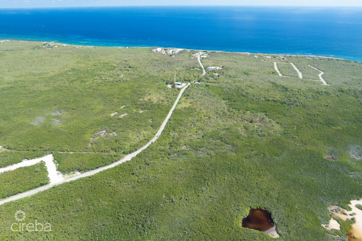 100 Acres High Rock Land - Image 8