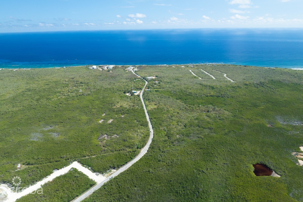 100 Acres High Rock Land - Image 9