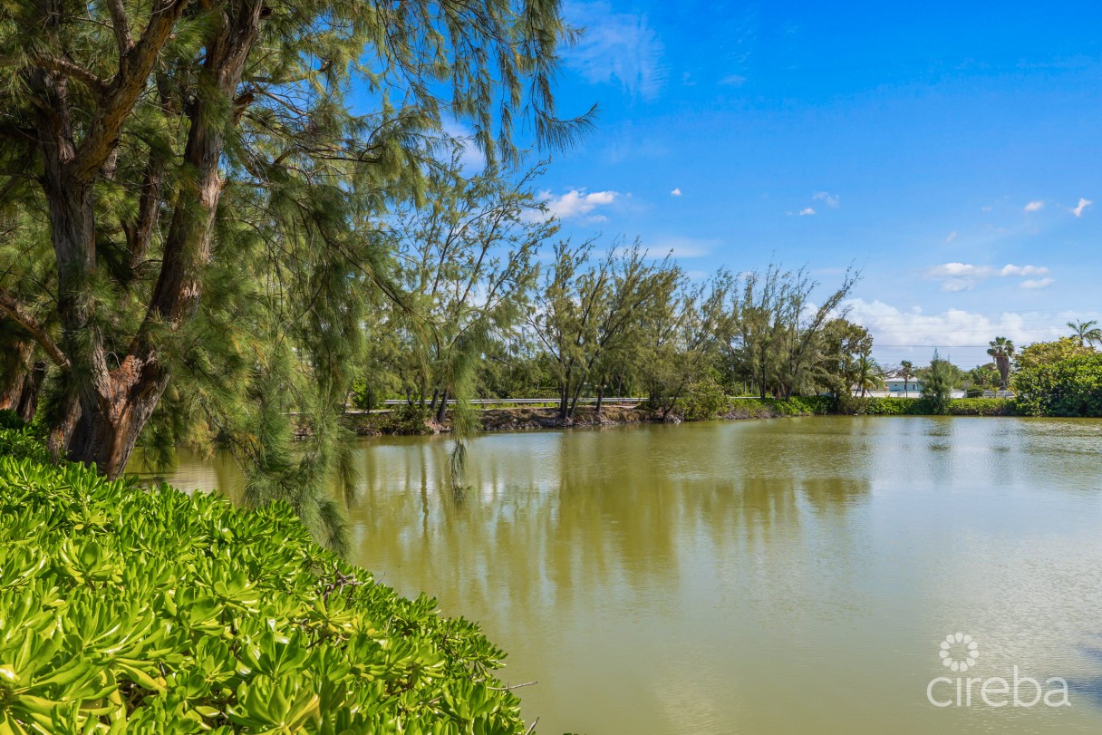 #6 Lakeshore Villas / 2 Bed Plus Den / 3 Bath - Image 21