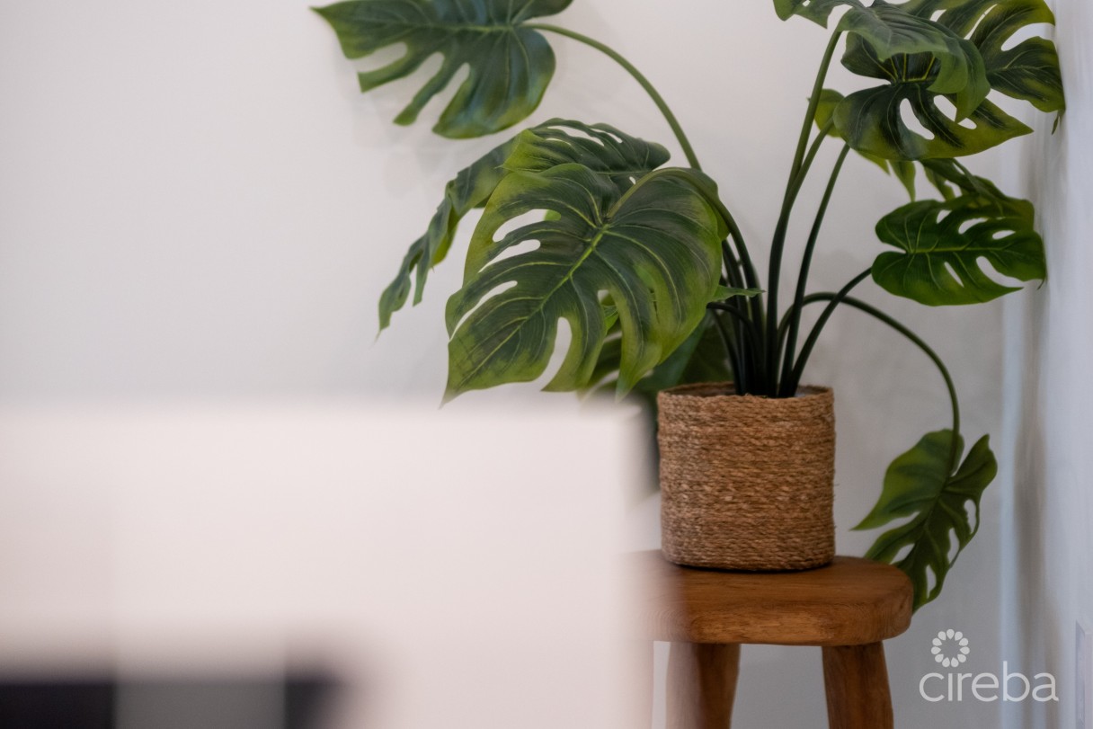 Brand New Arza  1b/1b - $20k Cash Back At Closing! - Image 7