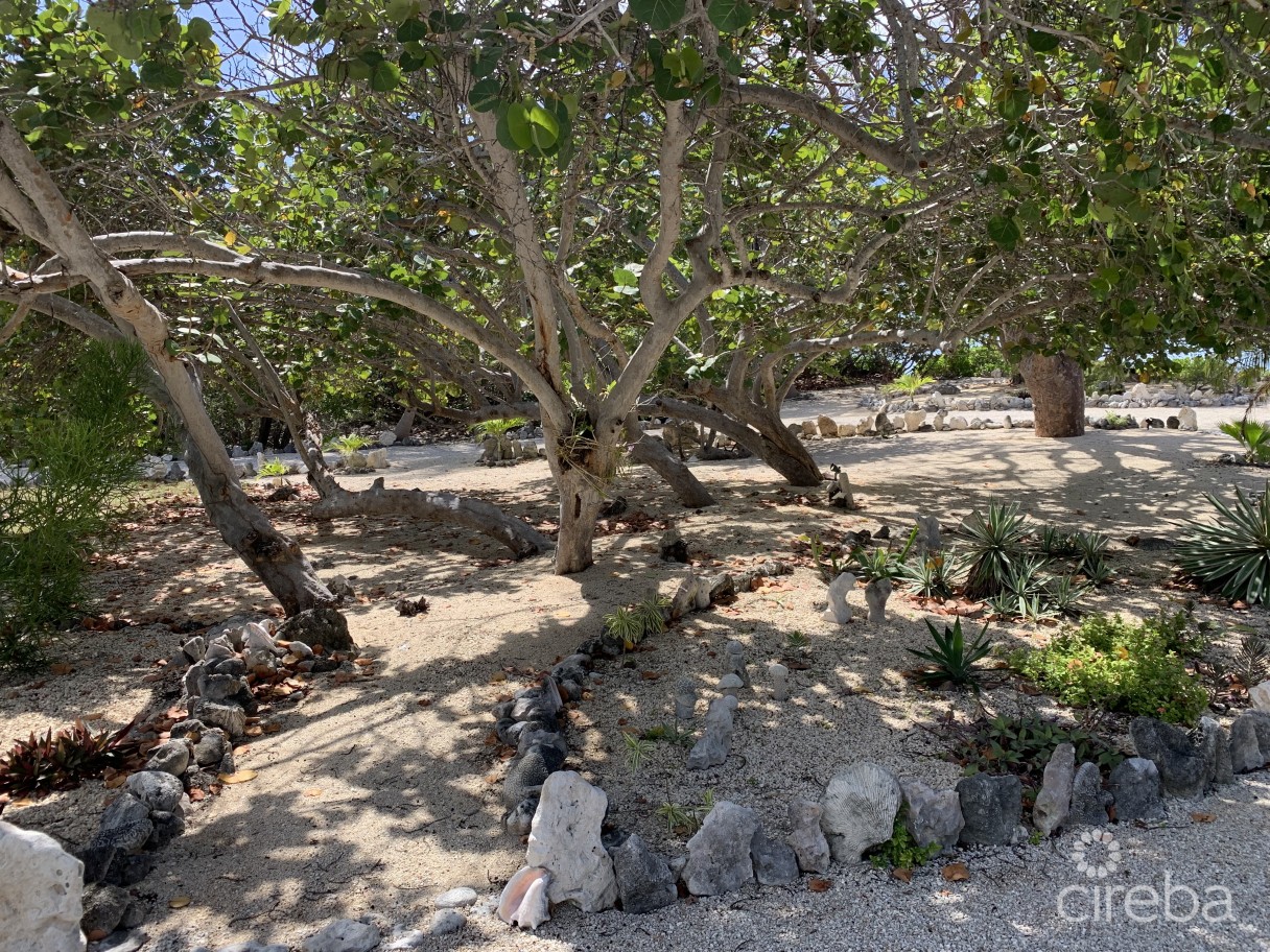 Palm Breezes - Image 15