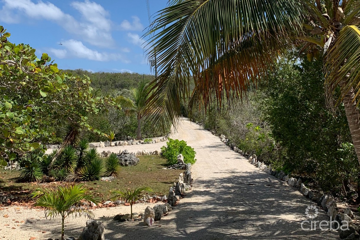 Palm Breezes - Image 2